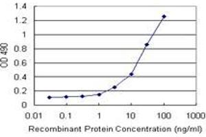 Sandwich ELISA detection sensitivity ranging from 1 ng/mL to 100 ng/mL. (RNF181 (Humain) Matched Antibody Pair)