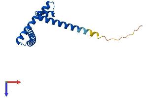 AlphaFold protein structure predicition of Human Recombinant CENPS Protein, UniprotID Q8N2Z9