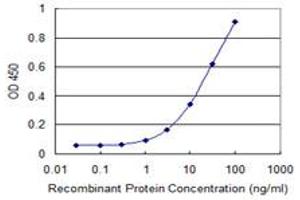 Detection limit for recombinant GST tagged TNIK is 0. (TNIK anticorps  (AA 1-110))