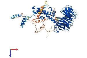 AlphaFold protein structure predicition of Mouse Recombinant Btrc Protein, UniprotID Q3ULA2