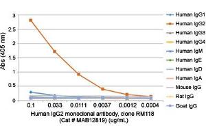 ELISA analysis of Human IgG2 monoclonal antibody, clone RM118  at the following concentrations: 0. (Lapin anti-Humain Immunoglobulin Heavy Constant gamma 2 (G2m Marker) (IGHG2) Anticorps (Biotin))