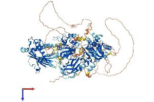 AlphaFold protein structure predicition of Mouse Recombinant Pitpnm1 Protein, UniprotID O35954