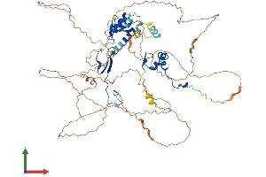 AlphaFold protein structure predicition of Human Recombinant DBF4 Protein, UniprotID Q9UBU7