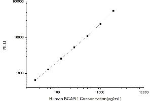 Typical standard curve (BCAR1 Kit CLIA)