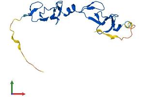 AlphaFold protein structure predicition of Mouse Recombinant Lmo4 Protein, UniprotID P61969