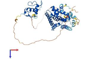 AlphaFold protein structure predicition of Human Recombinant NR2F6 Protein, UniprotID P10588
