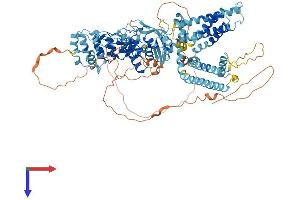 AlphaFold protein structure predicition of Human Recombinant TRPV4 Protein, UniprotID Q9HBA0