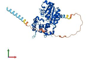 AlphaFold protein structure predicition of Human Recombinant CHST10 Protein, UniprotID O43529