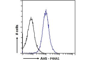 ABIN190847 Flow cytometric analysis of paraformaldehyde fixed A431 cells (blue line), permeabilized with 0.