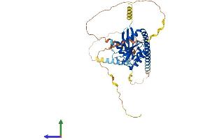 AlphaFold protein structure predicition of Mouse Recombinant Arl13b Protein, UniprotID Q640N2