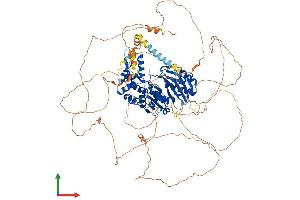 AlphaFold protein structure predicition of Human Recombinant DENND1A Protein, UniprotID Q8TEH3