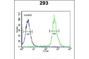 Flow cytometric analysis of 293 cells (right histogram) compared to a negative control cell (left histogram). (TAM41 anticorps  (AA 180-208))
