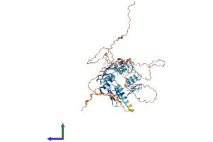 AlphaFold protein structure predicition of Human Recombinant ZNF619 Protein, UniprotID Q8N2I2