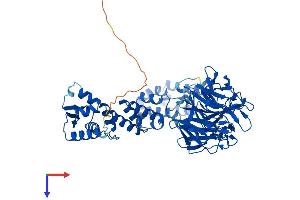 AlphaFold protein structure predicition of Mouse Recombinant Klhl2 Protein, UniprotID Q8JZP3