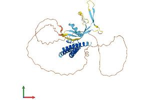 AlphaFold protein structure predicition of Mouse Recombinant Ell3 Protein, UniprotID Q80VR2