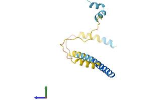 AlphaFold protein structure predicition of Human Recombinant CPLX2 Protein, UniprotID Q6PUV4
