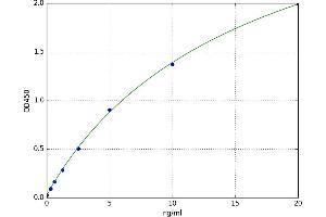 Lysyl Oxidase-Like 4 (LOXL4) ELISA Kit