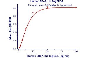 Immobilized Human SIRP alpha, Fc Tag  with a linear range of 1.