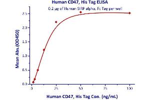 Immobilized Human SIRP alpha, Fc Tag  with a linear range of 1. (CD47 Protein (CD47) (AA 19-139) (His tag))