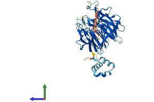 AlphaFold protein structure predicition of Mouse Recombinant Klhdc2 Protein, UniprotID Q4G5Y1