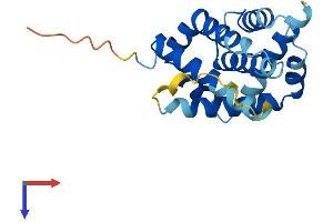 AlphaFold protein structure predicition of Mouse Recombinant Bax Protein, UniprotID Q07813