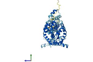 AlphaFold protein structure predicition of Mouse Recombinant Ak8 Protein, UniprotID Q32M07