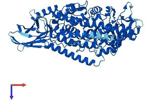 AlphaFold protein structure predicition of Mouse Recombinant Alox12 Protein, UniprotID P39655