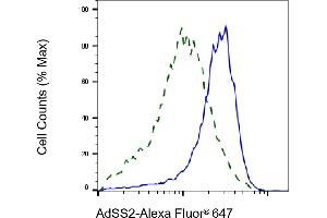 Validation of AdSS2 knockdown using flow cytometry. (Recombinant AdSS 2 anticorps)