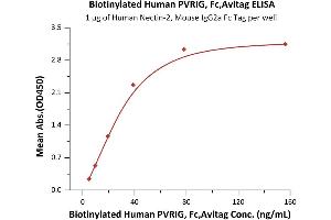 Immobilized Human Nectin-2, Mouse IgG2a Fc Tag (ABIN6386453,ABIN6388251) at 10 μg/mL (100 μL/well) can bind Biotinylated Human PVRIG, Fc,Avitag (HPLC verified) (ABIN6973209) with a linear range of 5-40 ng/mL (QC tested). (PVRIG Protein (AA 41-171) (Fc Tag,AVI tag,Biotin))