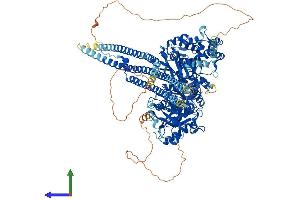 AlphaFold protein structure predicition of Mouse Recombinant Plcb1 Protein, UniprotID Q9Z1B3