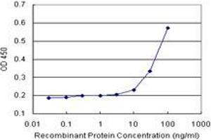 Sandwich ELISA detection sensitivity ranging from 10 ng/mL to 100 ng/mL. (HOOK1 (Humain) Matched Antibody Pair)