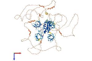AlphaFold protein structure predicition of Mouse Recombinant Sh3pxd2b Protein, UniprotID A2AAY5