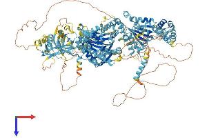 AlphaFold protein structure predicition of Mouse Recombinant Pex1 Protein, UniprotID Q5BL07