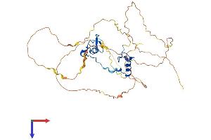 AlphaFold protein structure predicition of Human Recombinant GATA5 Protein, UniprotID Q9BWX5