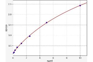 Typical standard curve (SQSTM1 Kit ELISA)