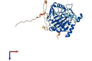 AlphaFold protein structure predicition of Human Recombinant NAPEPLD Protein, UniprotID Q6IQ20