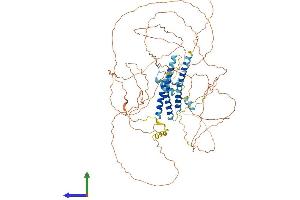 AlphaFold protein structure predicition of Mouse Recombinant Cep68 Protein, UniprotID Q8C0D9