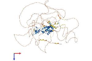 AlphaFold protein structure predicition of Human Recombinant TOPORS Protein, UniprotID Q9NS56