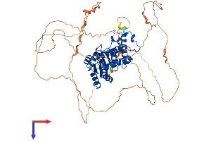 AlphaFold protein structure predicition of Human Recombinant EYA4 Protein, UniprotID O95677