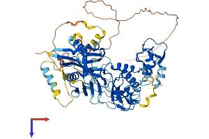 AlphaFold protein structure predicition of Mouse Recombinant Dtx4 Protein, UniprotID Q6PDK8