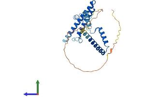 AlphaFold protein structure predicition of Human Recombinant MED8 Protein, UniprotID Q96G25