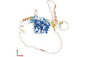 AlphaFold protein structure predicition of Mouse Recombinant Kmt5c Protein, UniprotID Q6Q783