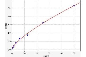 Typical standard curve (KMO Kit ELISA)