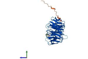 AlphaFold protein structure predicition of Mouse Recombinant Snrnp40 Protein, UniprotID Q6PE01
