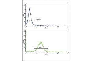 Flow Cytometry (FACS) image for anti-Epsin 3 (EPN3) antibody (ABIN3002666)