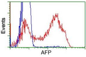 HEK293T cells transfected with either RC206622 overexpress plasmid (Red) or empty vector control plasmid (Blue) were immunostained by anti-AFP antibody (ABIN2452711), and then analyzed by flow cytometry. (alpha Fetoprotein anticorps)