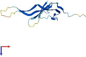 AlphaFold protein structure predicition of Mouse Recombinant Chtf8 Protein, UniprotID P0CG15