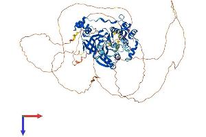 AlphaFold protein structure predicition of Mouse Recombinant Mark2 Protein, UniprotID Q05512