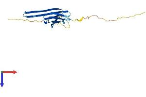 AlphaFold protein structure predicition of Mouse Recombinant Hspb9 Protein, UniprotID Q9DAM3