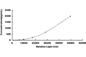 ELISA image for Chemokine (C-C Motif) Ligand 3 (CCL3) CLIA Kit (ABIN491804)